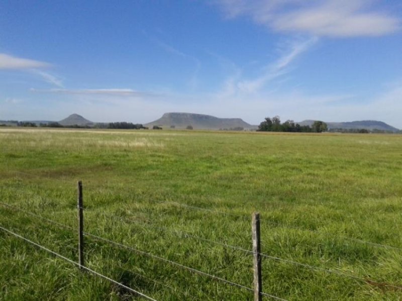 Foto Campo en Venta en Balcarce, Buenos Aires - 50 hectareas - CPV82155 - BienesOnLine