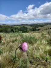 Campo en Venta en  Villa Berna, Córdoba