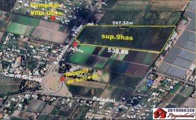 Terreno en Venta en  Los Corralitos, Mendoza