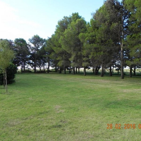 Foto Campo en Venta en ruta 1 vieja, guatrache, La Pampa - U$D 250.000 - CPV93564 - BienesOnLine