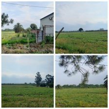 Campo en Venta en  Tafi Viejo, Tucumán
