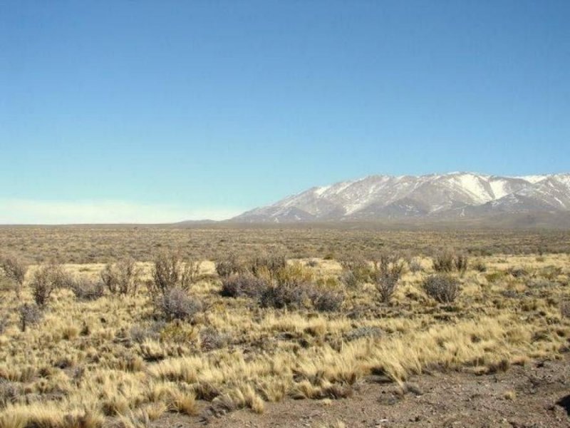 Campo en Venta en  san carlos, Mendoza