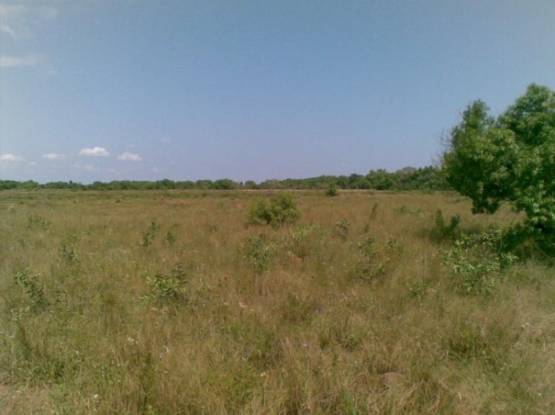 Foto Campo en Venta en Clorinda, Formosa - 38000 hectareas - U$D 53.200.000 - CPV96277 - BienesOnLine