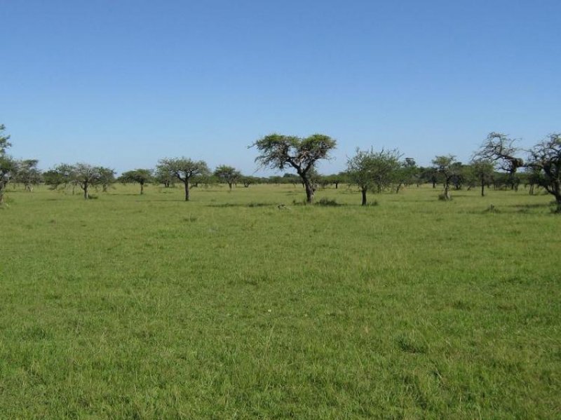 Foto Campo en Venta en RIACHUELO, Corrientes - U$D 12.690.000 - CPV96295 - BienesOnLine