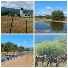 Campo en Venta en  Valle Viejo, Catamarca