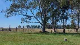Campo en Venta en  General Guido, Buenos Aires