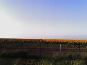 Campo en Venta en  Bandera, Santiago del Estero