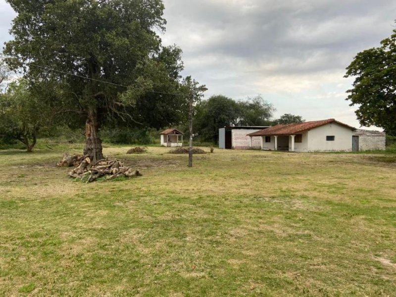 Campo en Venta en  Clorinda, Formosa