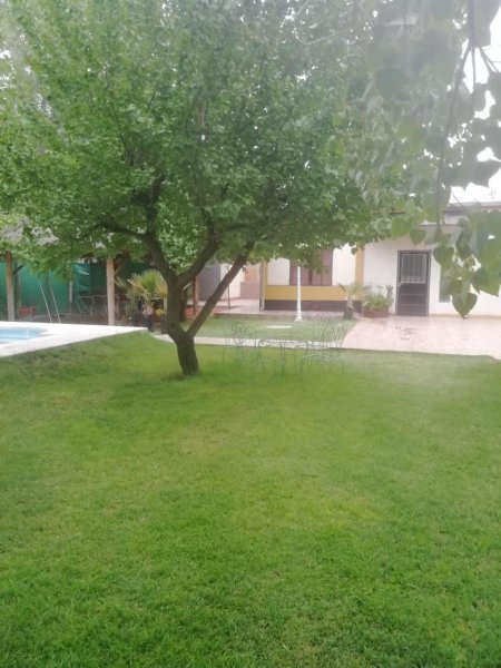 Foto Quinta en Venta en Lujan De Cuyo, Mendoza - U$D 85.000 - QUV111519 - BienesOnLine