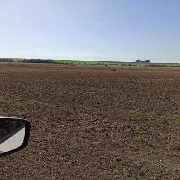 Campo en Venta en  La Paz, Entre Rios