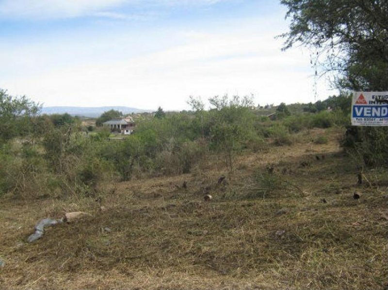 Foto Terreno en Venta en Villa mirador del lago, Bialet Massé, Córdoba - U$D 60.000 - TEV91110 - BienesOnLine