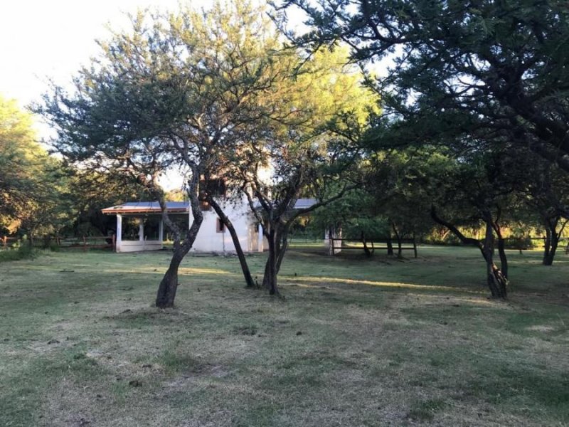 Terreno en Venta en Los Troncos Los Molles, San Luis