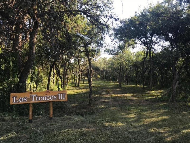 Terreno en Venta en  Los Molles, San Luis