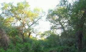 Campo en Venta en  Villa Gral Guemes, Formosa