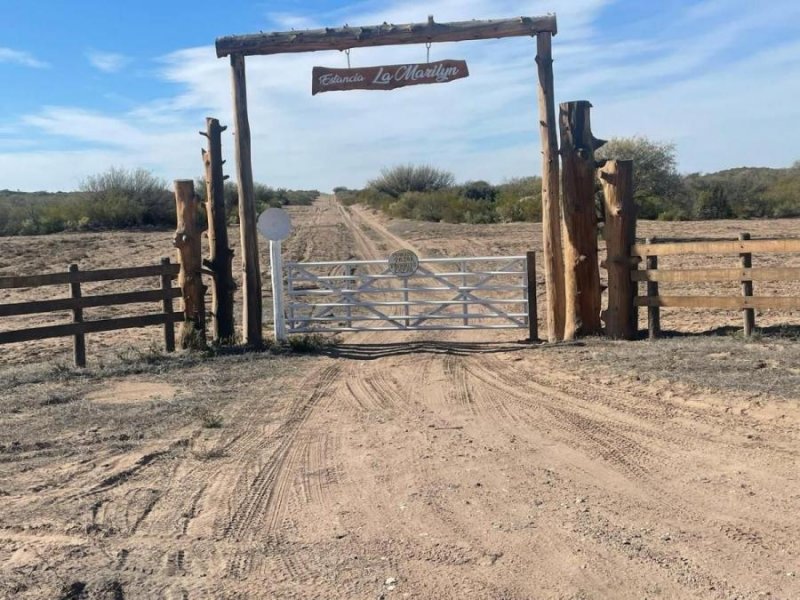 Quinta en Venta en  San Rafael, Mendoza