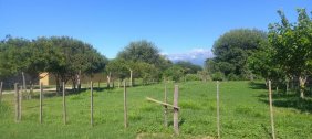 Terreno en Venta en  Valle Viejo, Catamarca