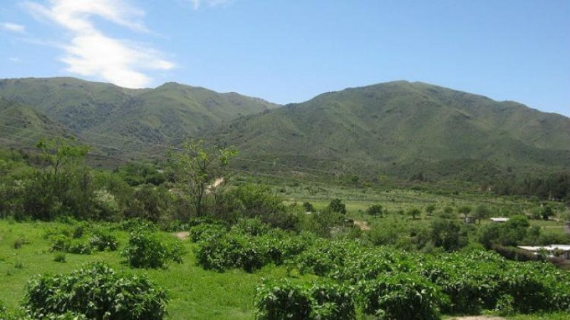 Foto Terreno en Venta en centro, Huerta Grande, Córdoba - $ 250.000 - TEV91840 - BienesOnLine