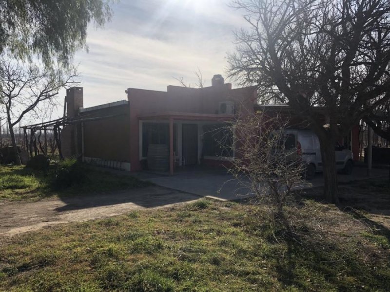 Quinta en Venta en  General Alvear, Mendoza