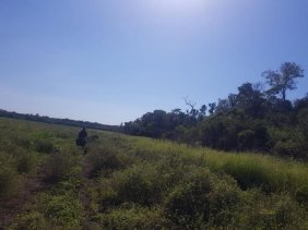 Campo en Venta en  Palo Santo, Formosa