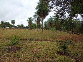 Terreno en Venta en Loro Park Corrientes, Corrientes
