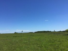 Campo en Venta en  Paso de los Libres, Corrientes