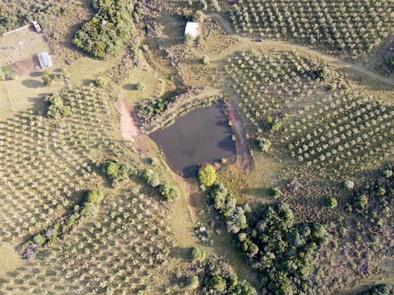 Campo en Venta en recoleta PUNTA DEL ESTE, Ciudad de Buenos Aires