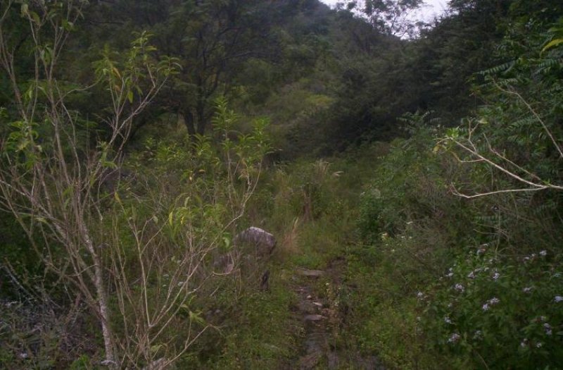 Campo en Venta en  Unquillo, Cordoba